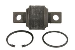 Vipera Tendon Bush Up Front S415/Travego