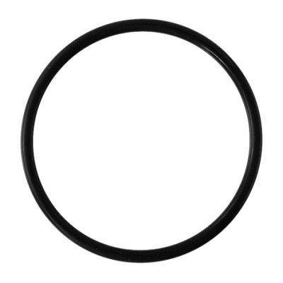 Retarder O-Ring