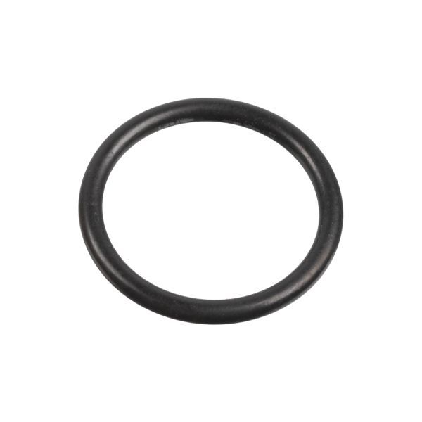 Injector O-Ring Intouro