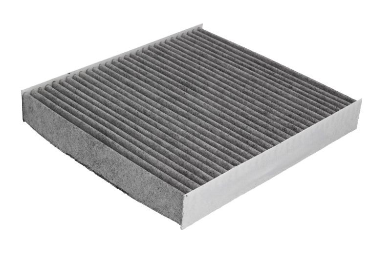 Filtru Polen Ford