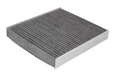 Filtru Polen Ford