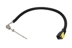 Catalyst Temperature Sensor Euro 6