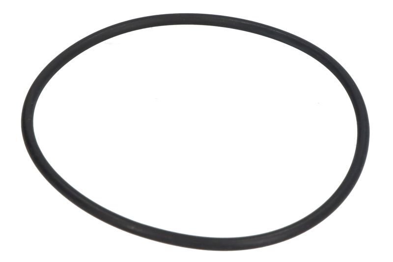 Thermostat O-Ring DAF