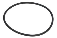 Thermostat O-Ring DAF