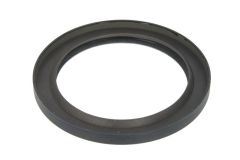 Simering Vibrochen Fata