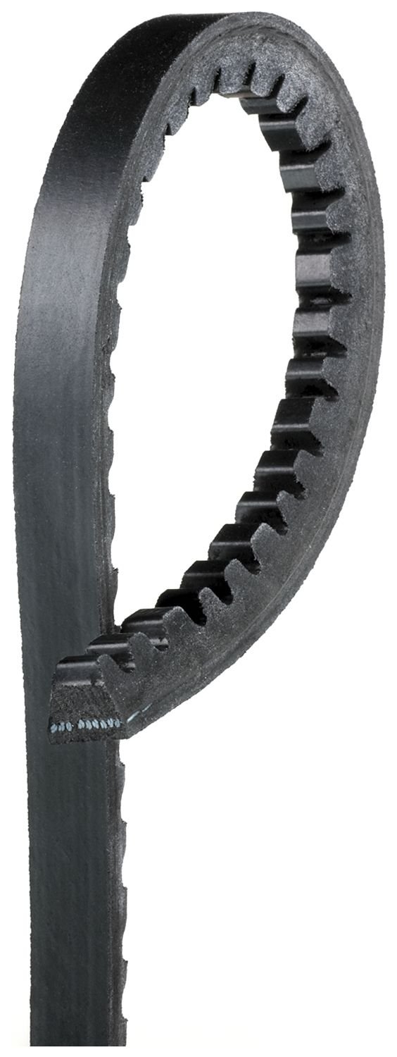 Alternator Belt
