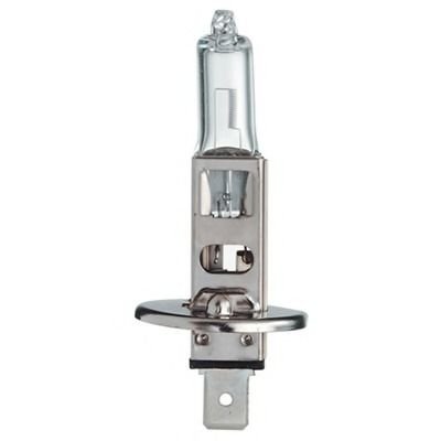 Bulb H1-12V