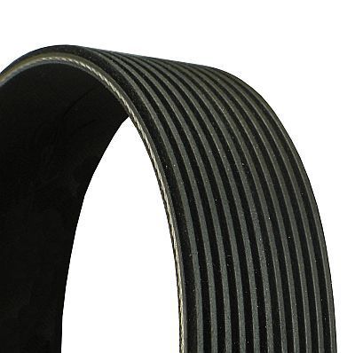 Fan Belt