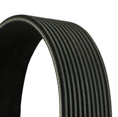 Fan Belt