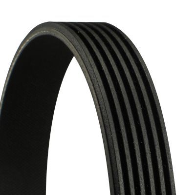 Ribbed V-Belt