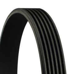 Ribbed V-Belt
