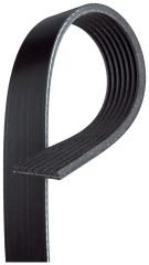 V-Ribbed Belt
