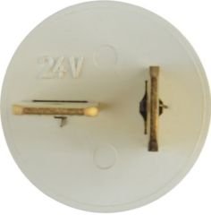 Board Light Bulb