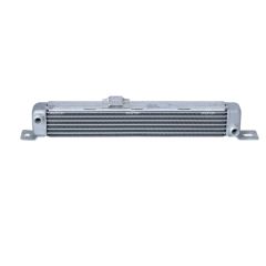 Thermostat Mercedes T1