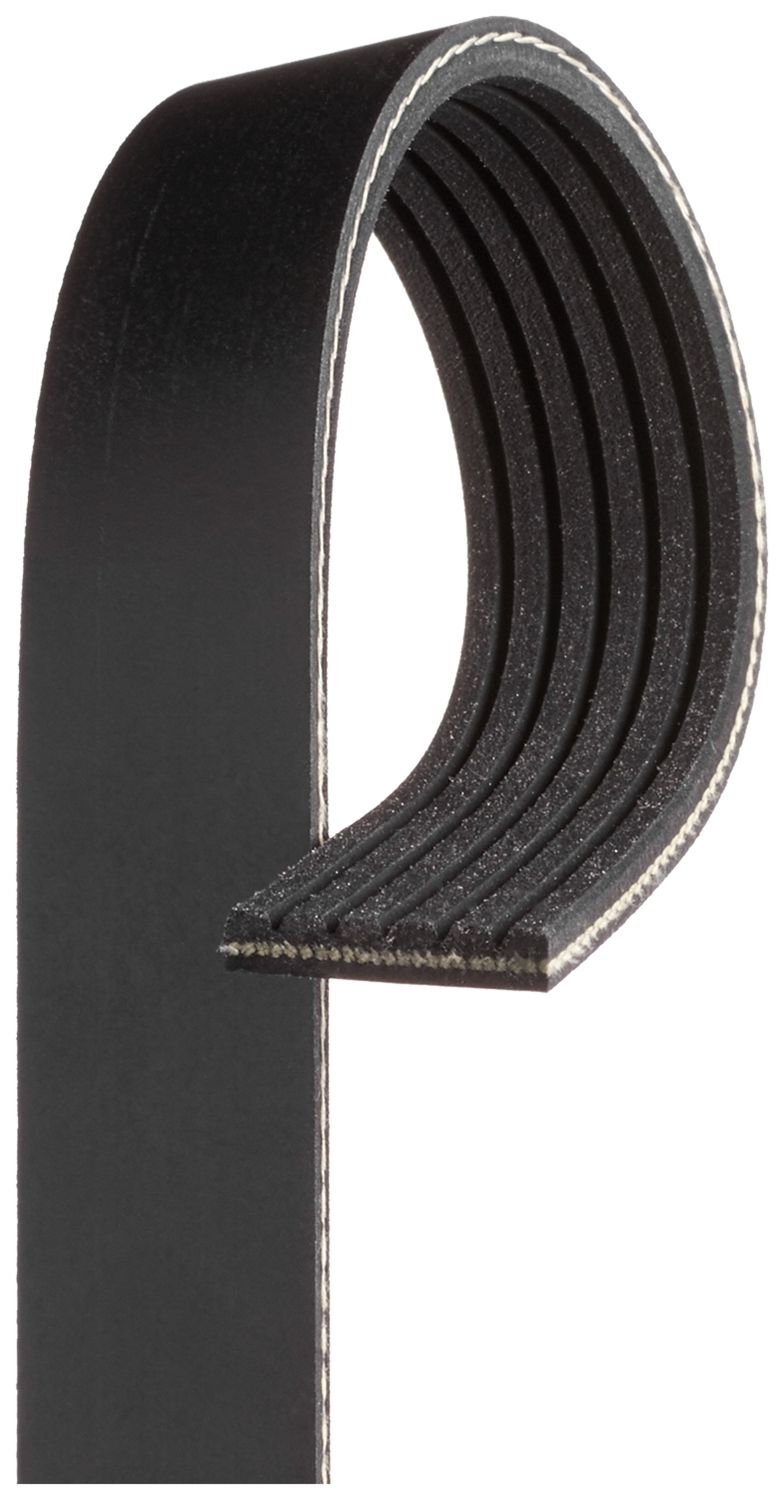 Ribbed V-Belt