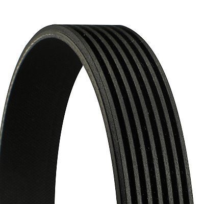 Ribbed V-Belt