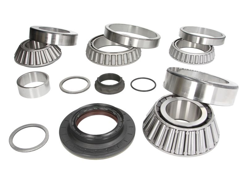 Set Rulment Diferential Travego Setra  Axor 65x152x48 (801794)