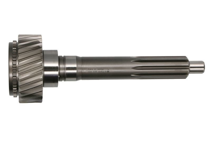 Arbore Primar-Priza Cutie