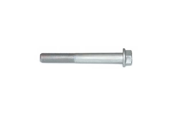 Screw