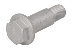 Kaliper Ayar Vidası