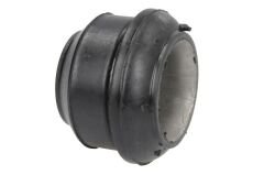 Bucsa Din Cauciuc, Suspensie Cu Arcuri Lamelare