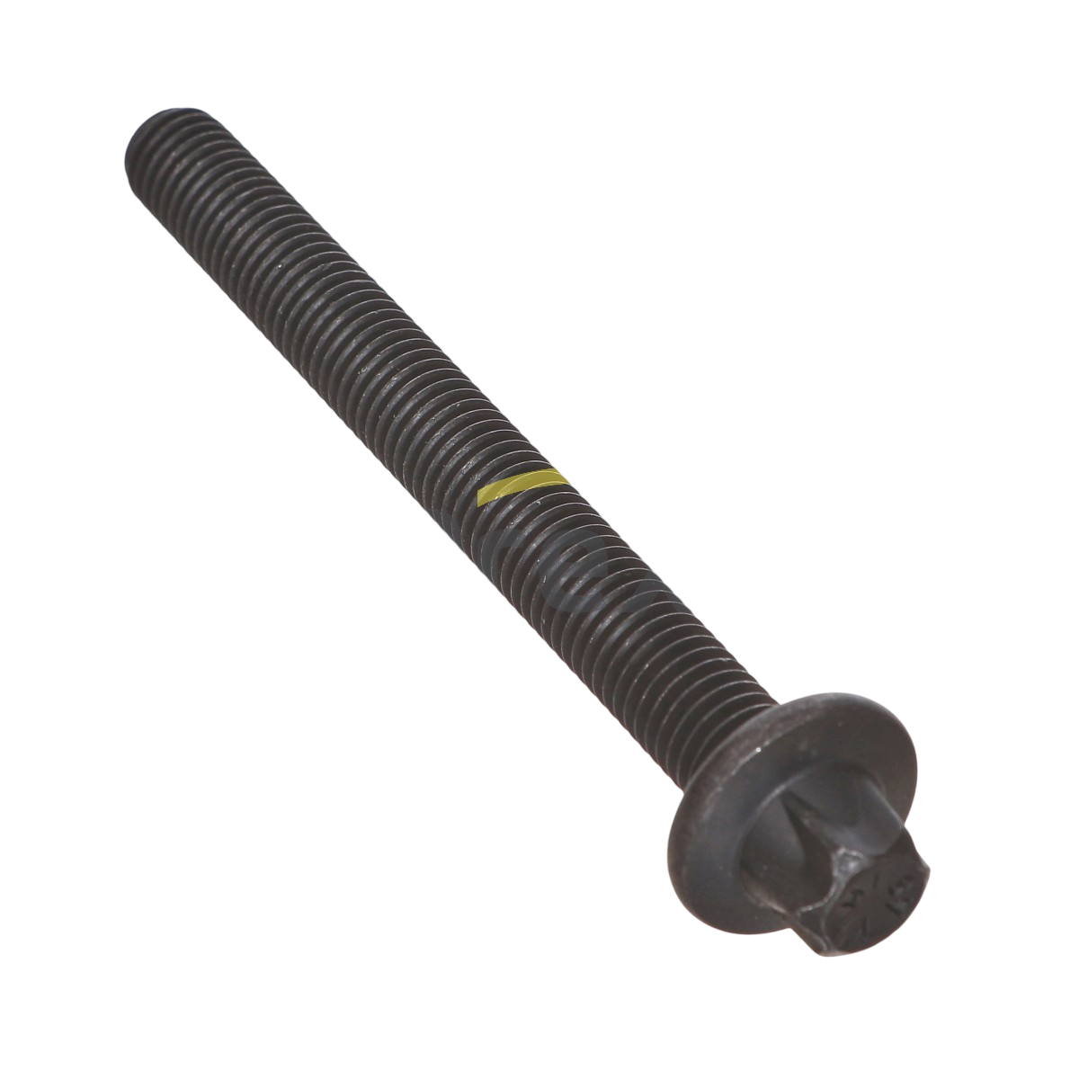 Manifold Screw MAN
