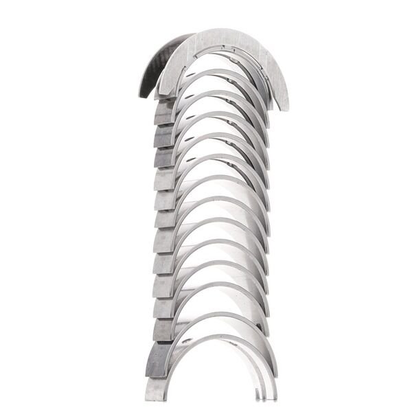 Main Bearings OM366