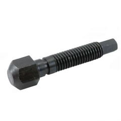 Brake Caliper Bolt