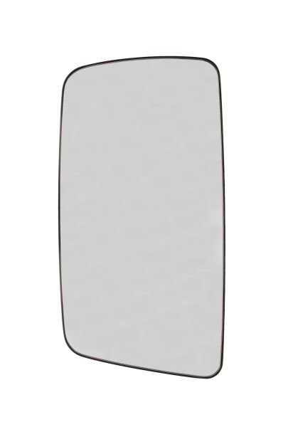 Left Mirror