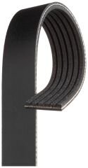 Ribbed V-Belt 