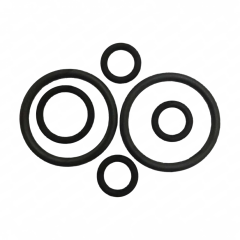 Kit Oring Retarder E4-E5 0350 Tourismo