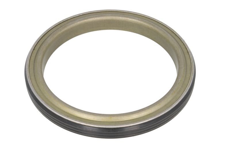 Rear Oil Seal Setra Neoplan with Support