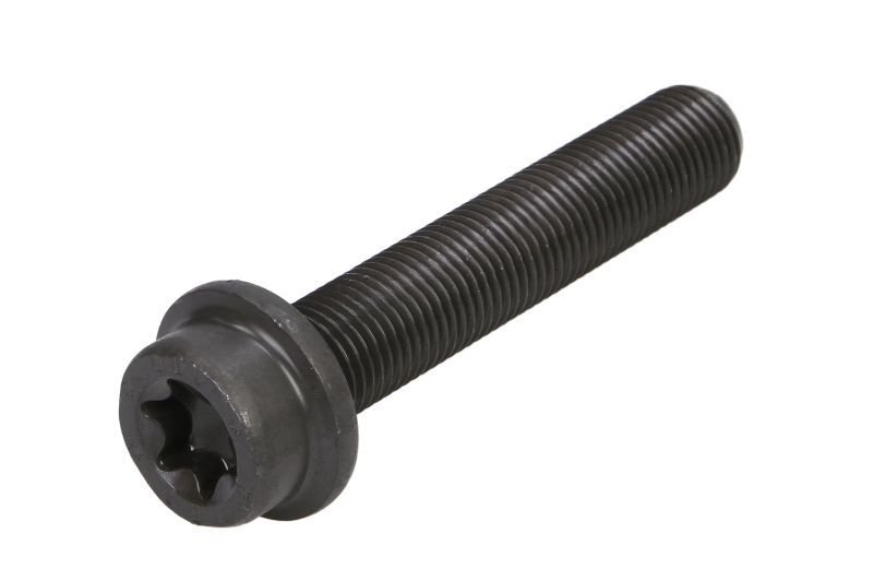 Brake Disc Screw
