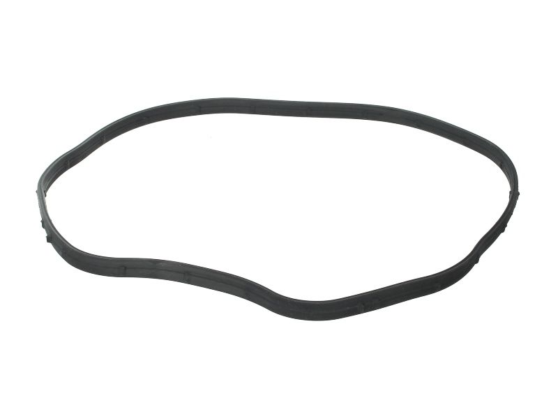 Camshaft Gasket Temsa Prestij