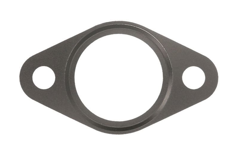 Garnitura Supapa Egr