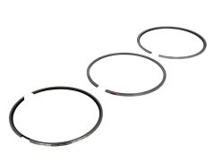 Segmenti Motor OM457