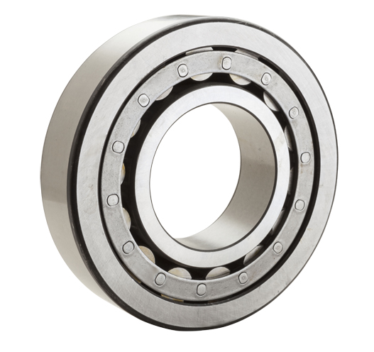 Tek Sıralı Silindirik Makaralı Rulman 25x62x17mm
