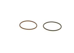 Injector Oring Kit