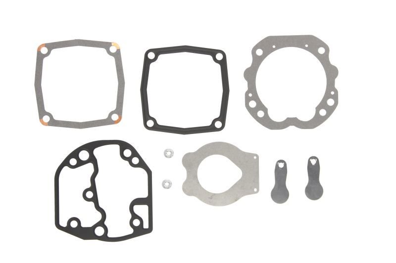 Compressor Seals Leaf Tongue