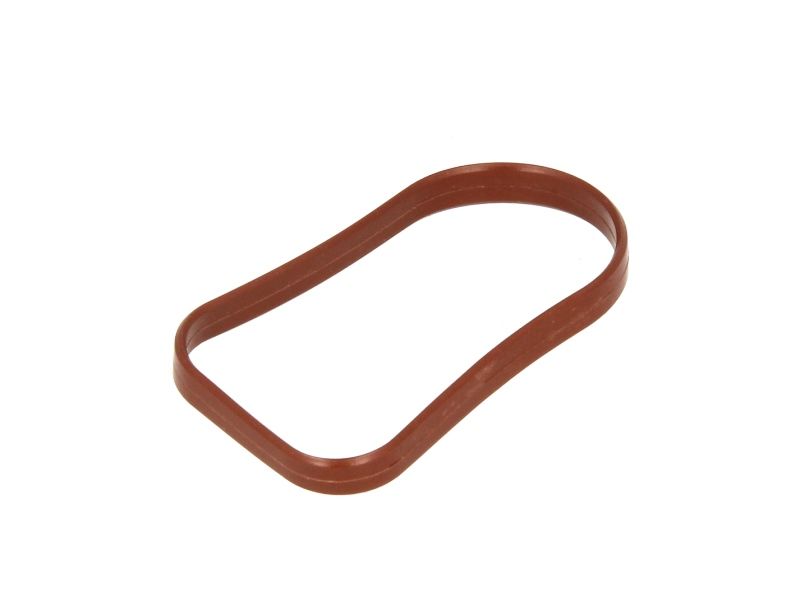 Sprinter E4 Intake Gallery Gasket