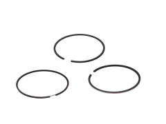 Segmenti Motor Iveco