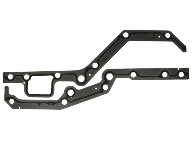 Timing Gasket